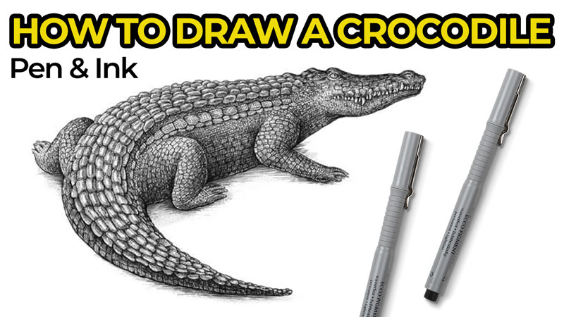 如何用钢笔和墨水画一个鳄鱼吗