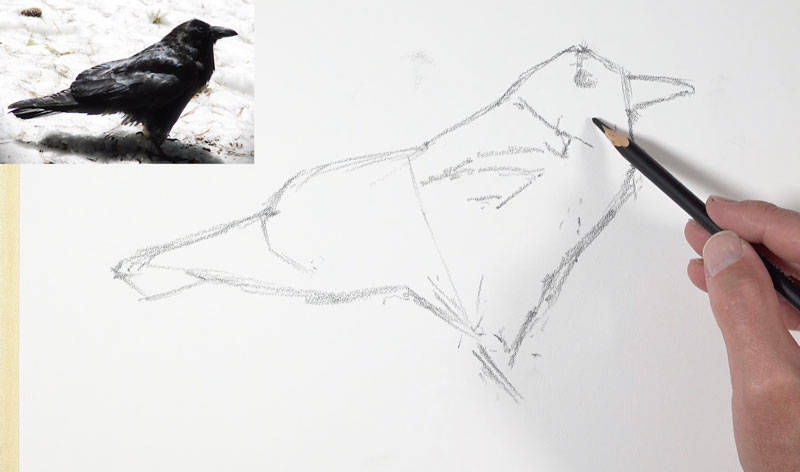 在点画纸上画乌鸦的形状