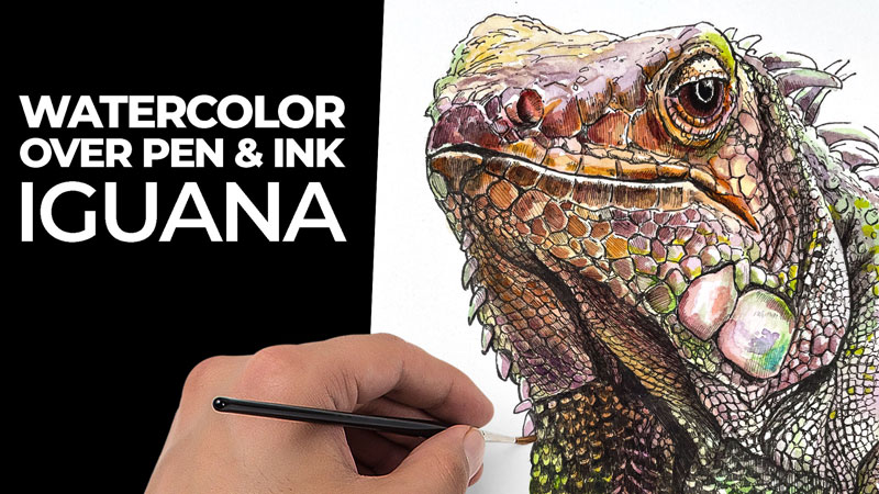如何画一个鬣蜥和水彩吗