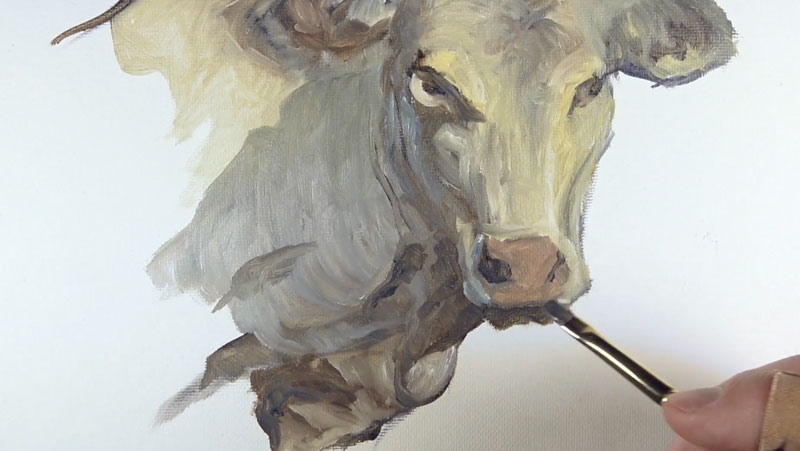 画牛的鼻子