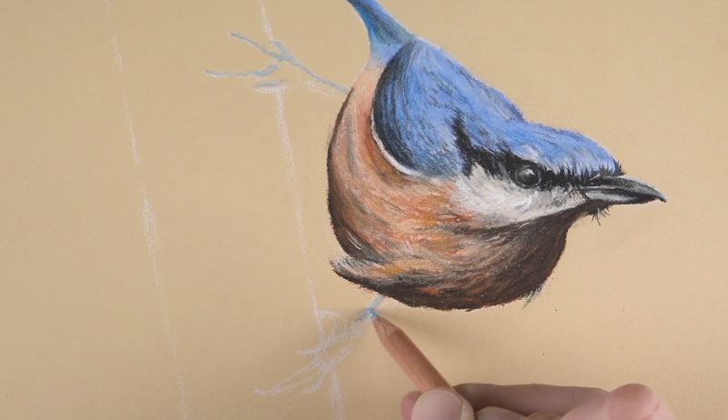 画着鸟的爪子