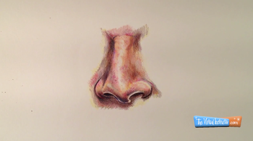 彩色铅笔画一个鼻子