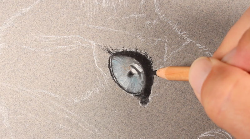 画猫的眼睛
