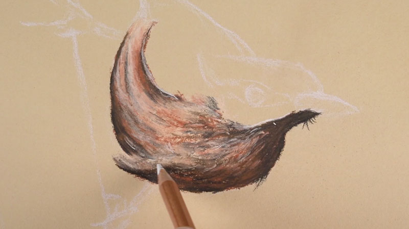 画小鸟身上的小羽毛。