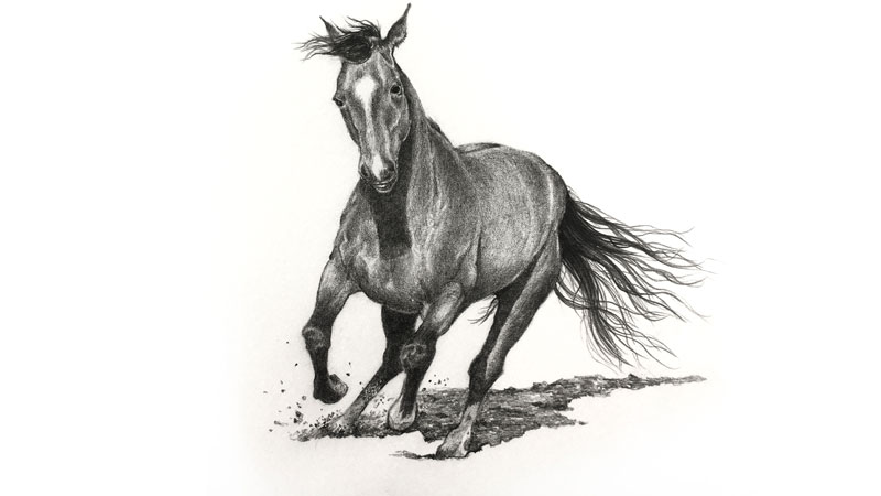 如何画一匹马的铅笔吗