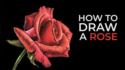 如何画一朵玫瑰-粉彩