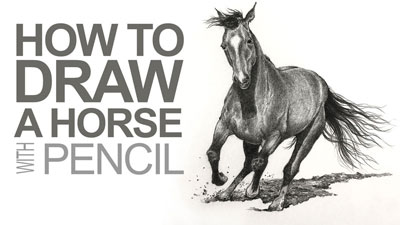 如何用铅笔画一匹马