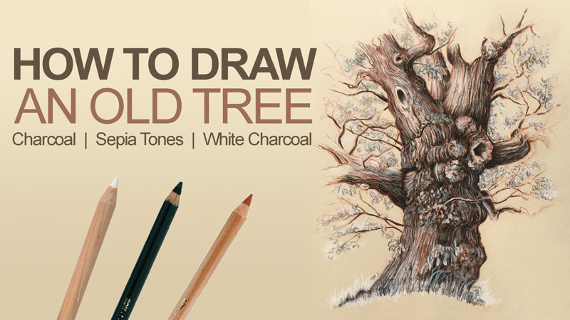 如何画一棵古树