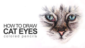 如何画猫的眼睛