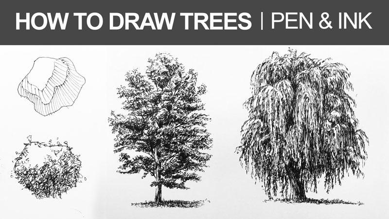 如何用钢笔和墨水画树