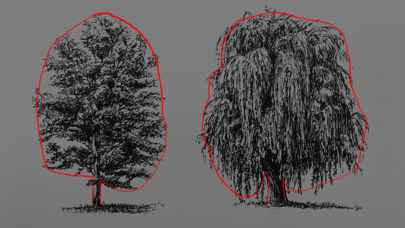 画出树的基本形状