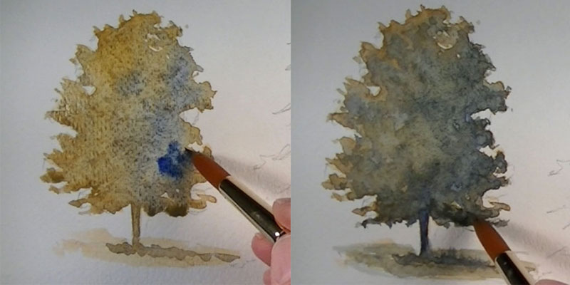 如何粉刷一棵橡树初洗