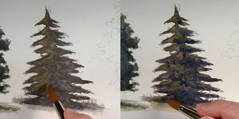 如何画一棵松树-细节