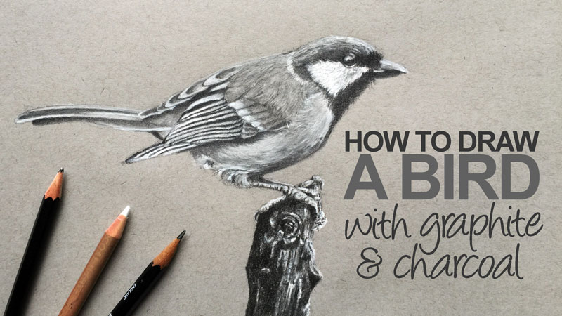 如何用石墨和白炭画一只鸟