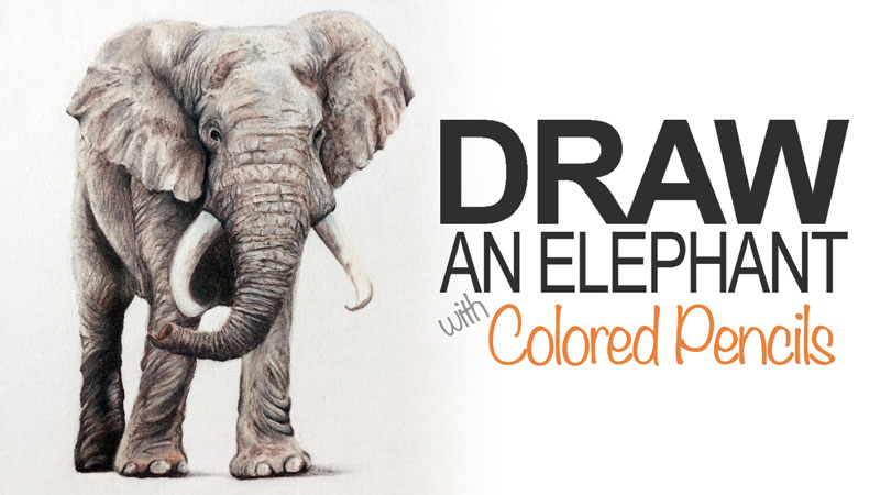如何画一头大象有彩色铅笔吗