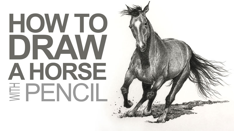 如何画一匹马的铅笔吗