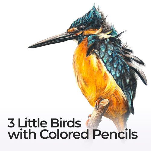 3只小鸟和彩色铅笔