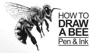如何画一只蜜蜂