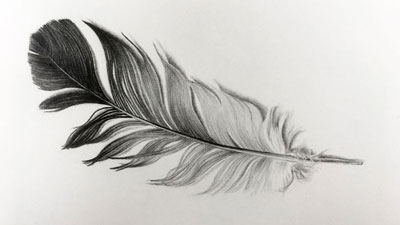 如何画羽毛